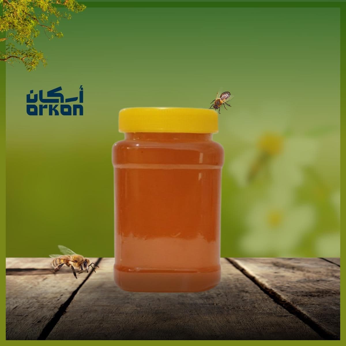 Pure Clover Honey 1Kg