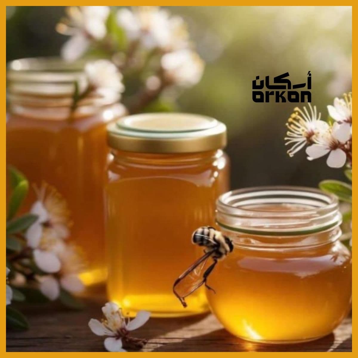 Pure Clover Honey 500g